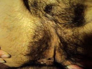 close_up_hairy