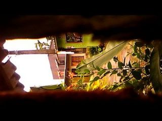 romina de mar del plata camara oculta