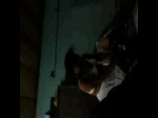 lsbicas_caseiros