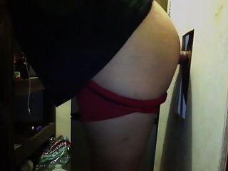 ursos gordos gays pelados sonhado